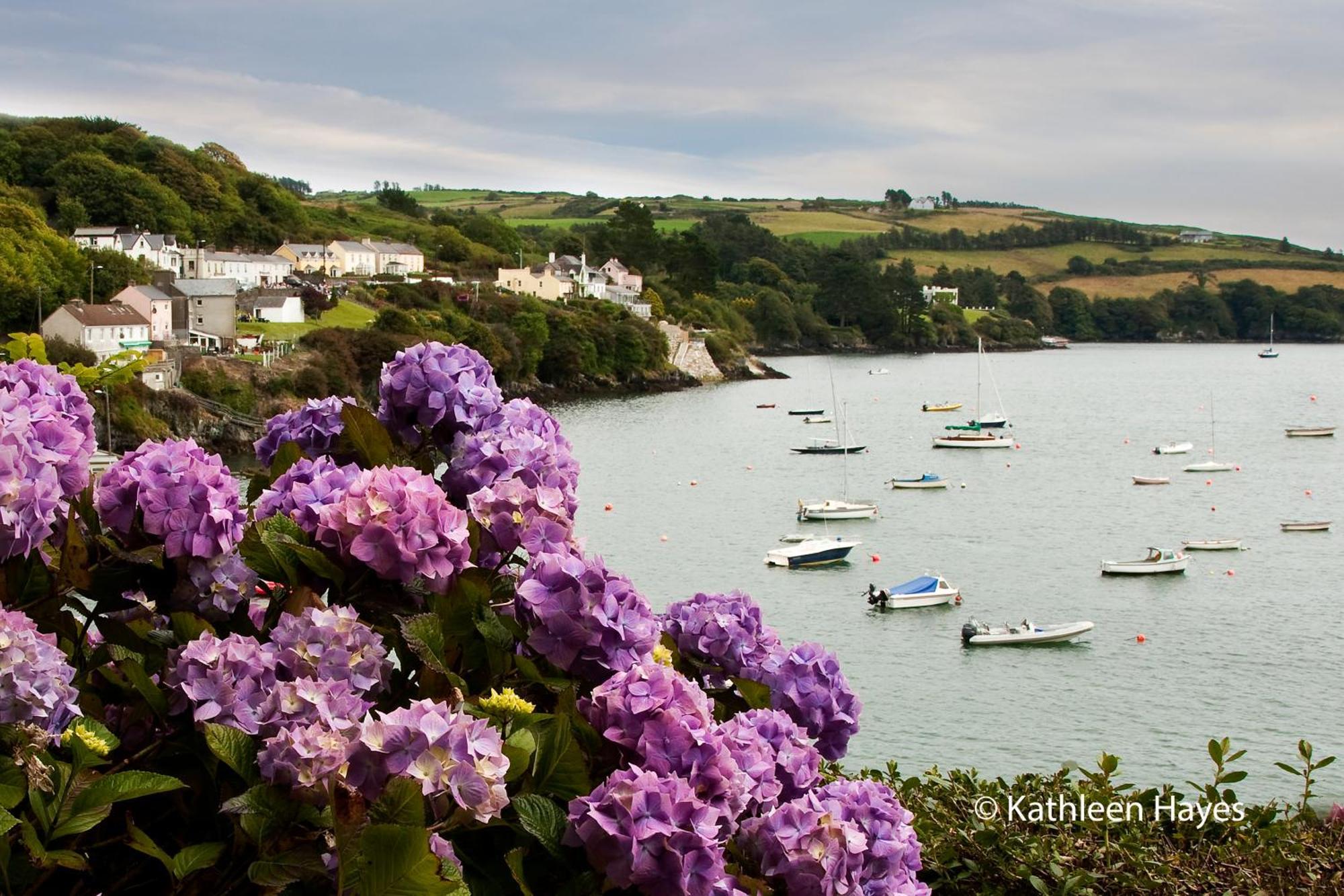 Bay View B&B Glandore Cameră foto